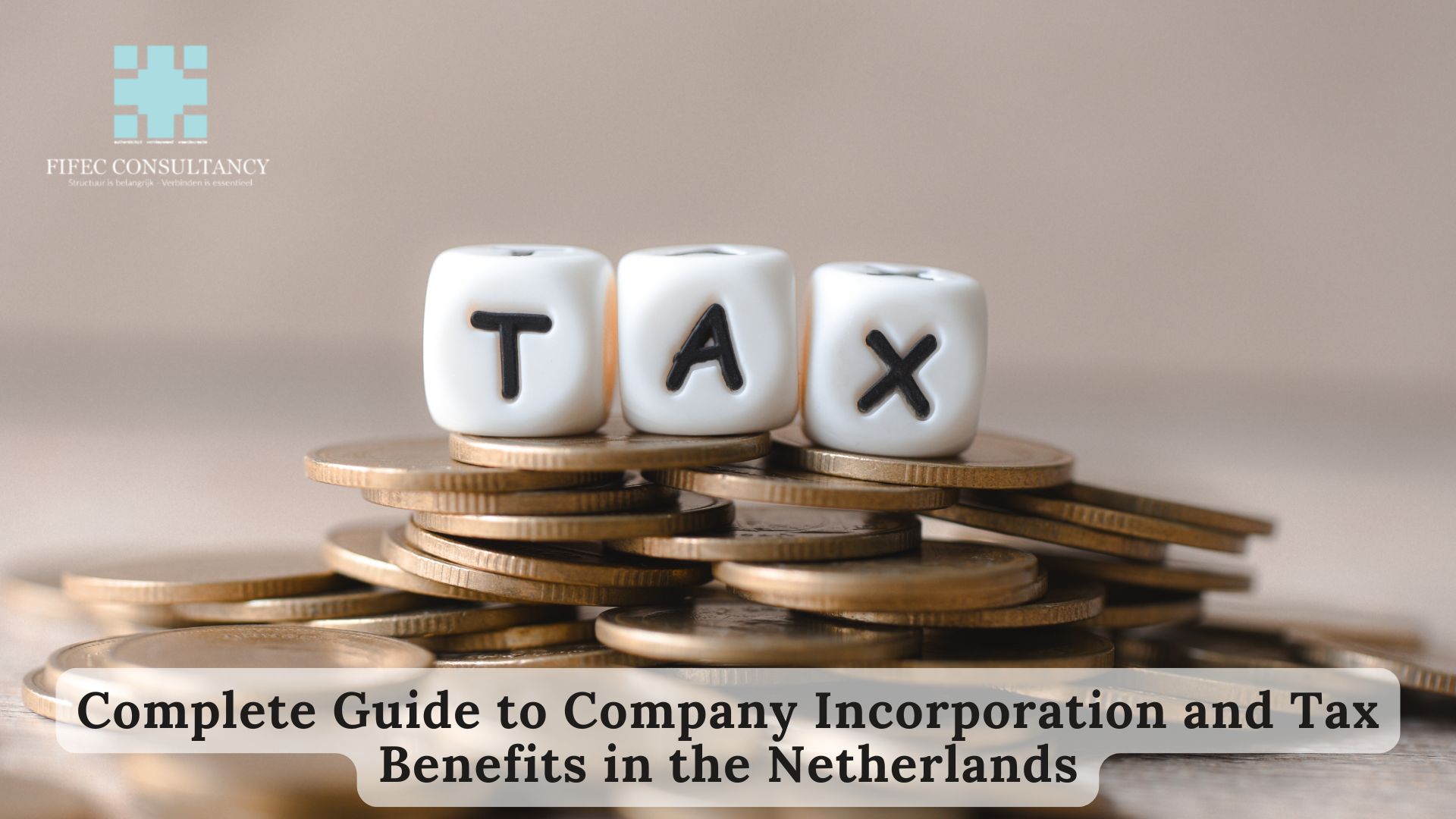 Company incorporation and tax benefits in the Netherlands guide